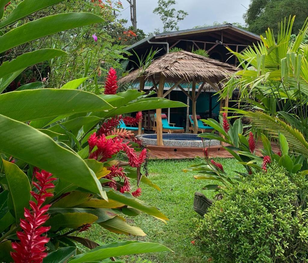 Bed and Breakfast Casa Mambo Cahuita Exterior foto